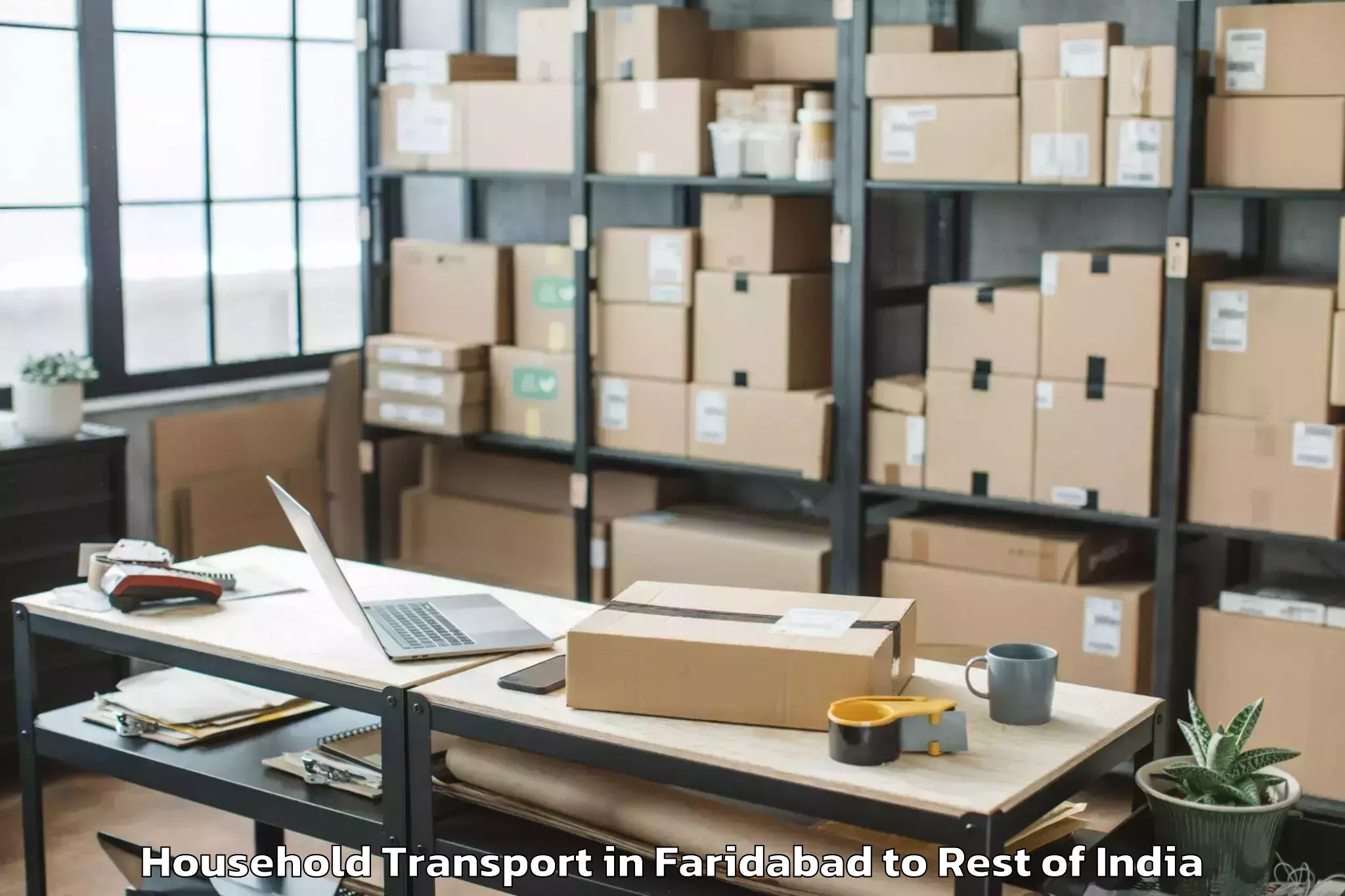 Professional Faridabad to Damercherla Household Transport